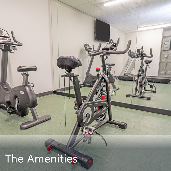 Features & Amenities